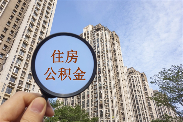 个人交公积金如何交-阳江公积金代办平台